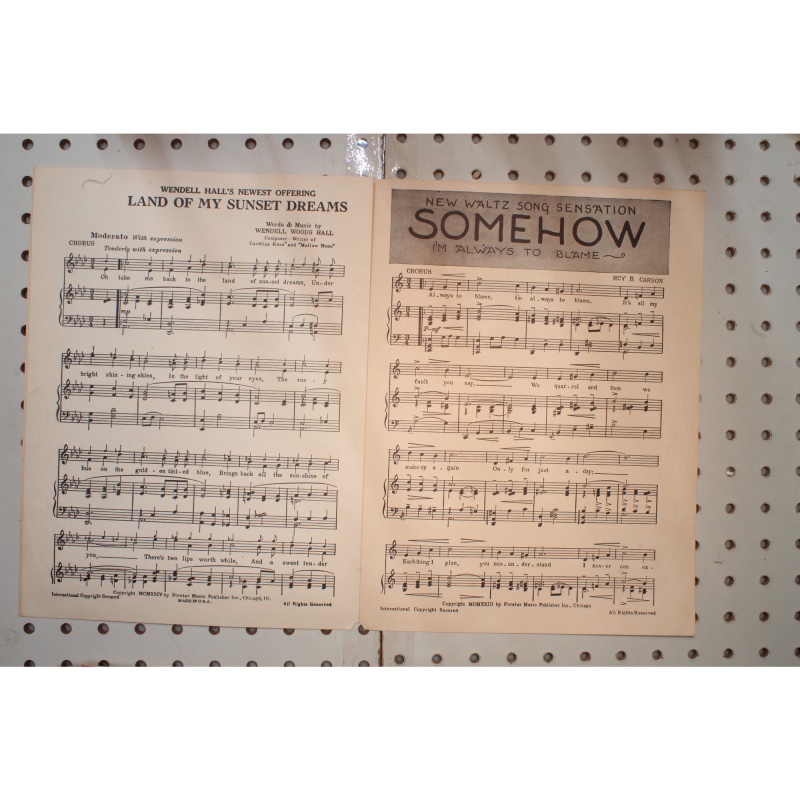 1923 - IF IT AINT GONNA RAIN NO MO BY WENDELL HALL - Sheet Music