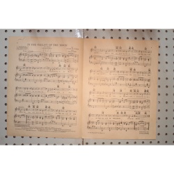 1933 - IN THE VALLEY OF THE MOON BY CHARLIE TOBIAS AND JOE BURKE - Sheet Music