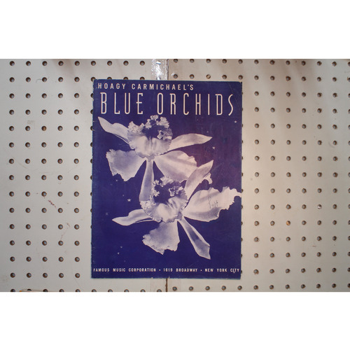 1939 - HOAGY CARMICHAELS BLUE ORCHIDS - Sheet Music