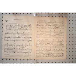 1939 - HOAGY CARMICHAELS BLUE ORCHIDS - Sheet Music