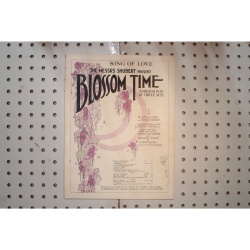 1921 - SONG OF LOVE THE MESSRS SHUBERT BLOSSOM TIME AMUSICAL PLAY IN THREE ACTS