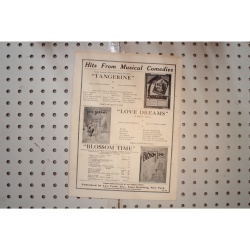 1921 - SONG OF LOVE THE MESSRS SHUBERT BLOSSOM TIME AMUSICAL PLAY IN THREE ACTS