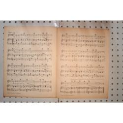 1928 - HAPPY DAYS AND LONELY NIGHTS BILLY ROSE , FRED FISHER - Sheet Music