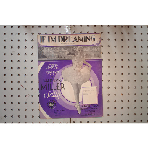 1929 - MARILYN MILLER IN SALLY IF IM DREAMING - Sheet Music