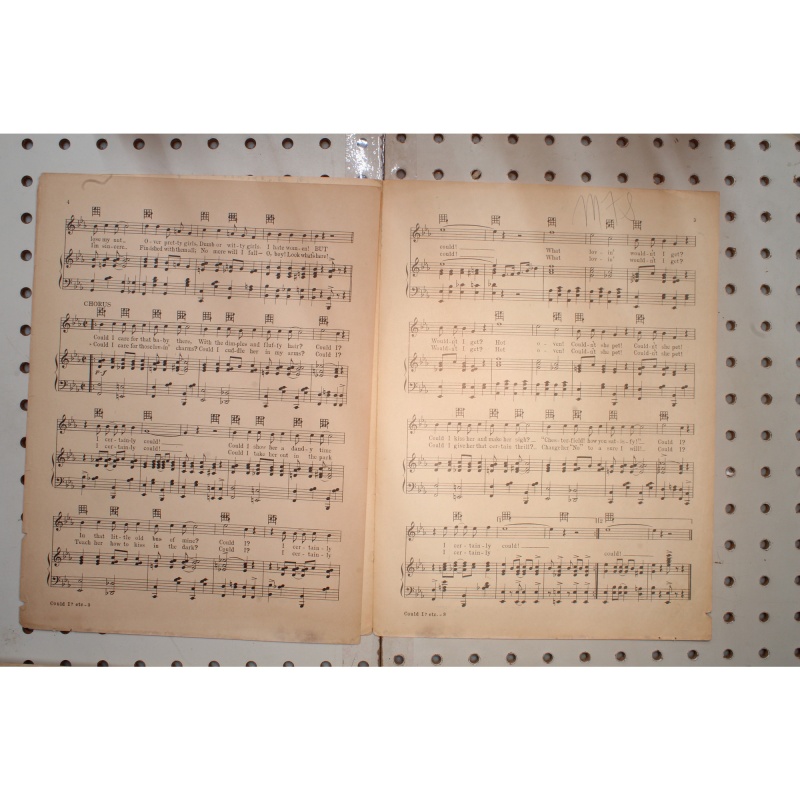 1926 - AGER. YELLEN & BORNSTEIN INC. COULD I? I CERTAINLY COULD - Sheet Music