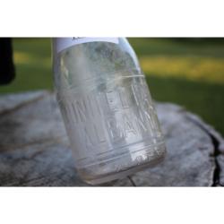 5.5" Vintage United Farm Albany NY bottle - Clear Glass