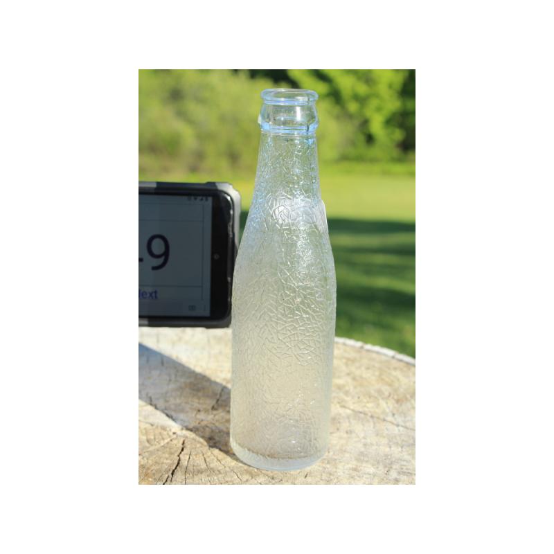 7" Vintage ETCHED GLASS DESIGN bottle - Clear Glass