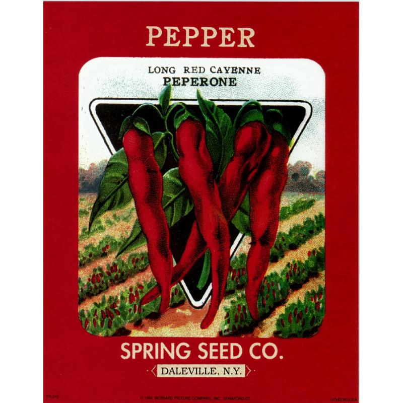 (8 x 10) Art Print FR243 Bernard Picture Co. Pepper Spring Seed Co. Daleville NY