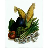 (8 x 10) Art Print FR0193 Wolfgang M. Otto Vegetables