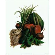 (8 x 10) Art Print FR0196 Wolfgang M. Otto Vegetables