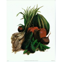 Lot of 5 (8 x 10) Art Print FR0196 Wolfgang M. Otto - Vegetables