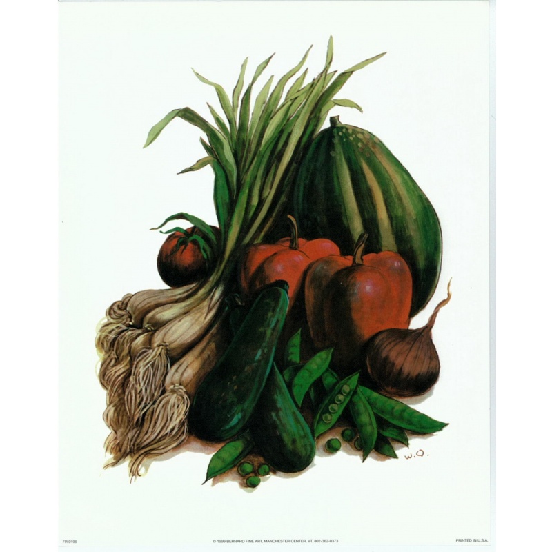 Lot of 5 (8 x 10) Art Print FR0196 Wolfgang M. Otto - Vegetables