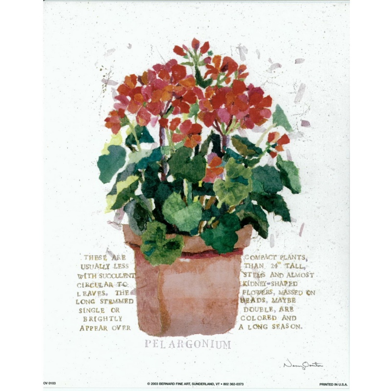 (8 x 10) Art Print OV0103 Nancy Overton - 