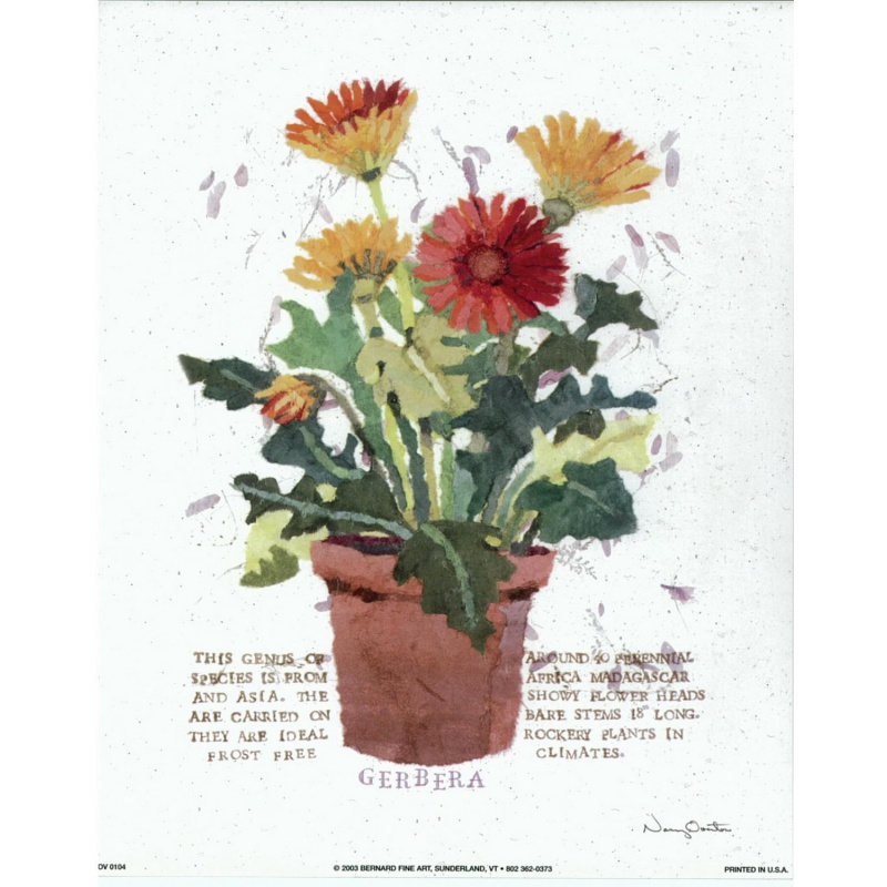 Lot of 5 (8 x 10) Art Print OV0104 Nancy Overton - 