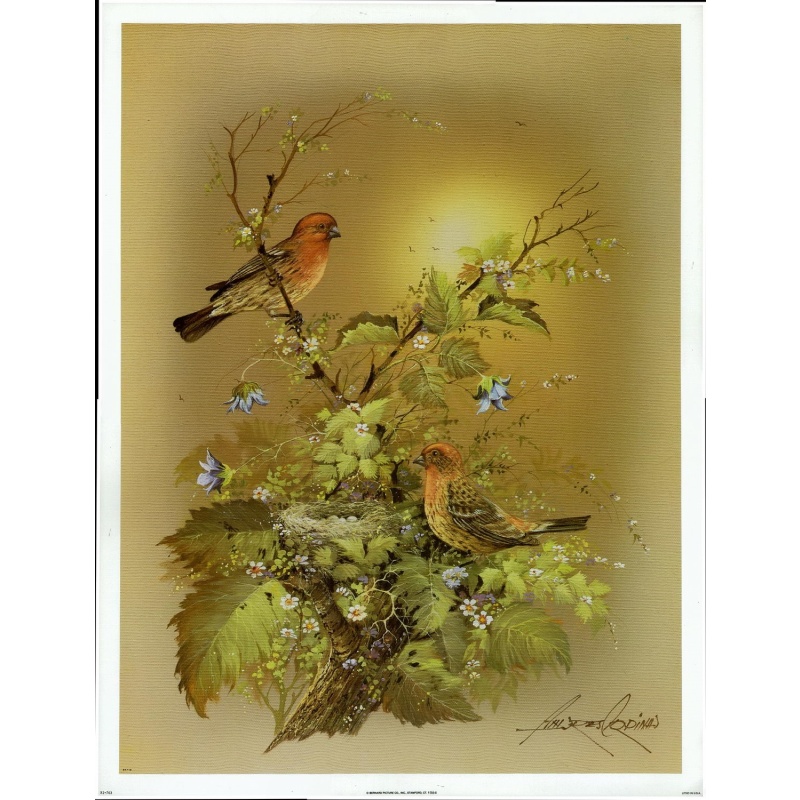 (13 x 17) Art Print BI763 Andres Orpinas - 