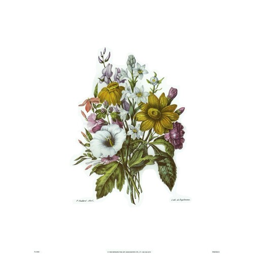 (12 x 16) Art Print FL0549 Bernard Fine Art Floral