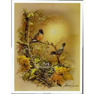 (13 x 17) Art Print BI762 Andres Orpinas - 