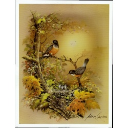 (13 x 17) Art Print BI762 Andres Orpinas