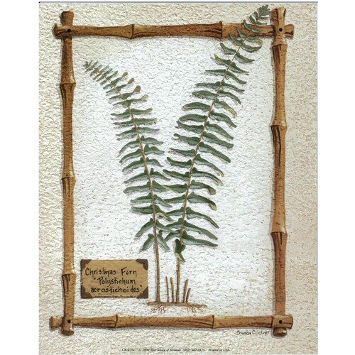 (8 x 10) Art Print CK071B SUSAN CLICKNER