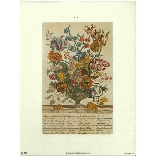 (6 x 8) Art Print FL115 Bernard Picture Co. Flowers of the Month - April