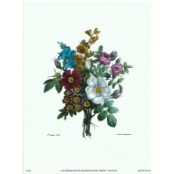 Lot of 8 (6 x 8) Art Print FL554 Bernard Fine Art - Floral