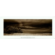 Lot of 10 (4 x 10) Art Print WR0404 Rose Selavy Ltd. - 