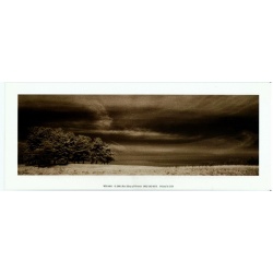 (4 x 10) Art Print WR0404 Rose Selavy Ltd. - 