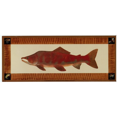 (4 x 10) Art Print MS0402 Mark Susinno Fish I