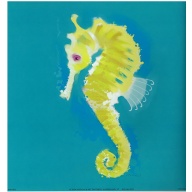 Lot of 4 (9 x 9) Art Print MW1072 Anthony Morrow - Seahorse