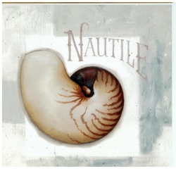 (6 x 6) Art Print LA11050 Lisa Audit - 