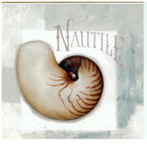 (6 x 6) Art Print LA11050 Lisa Audit