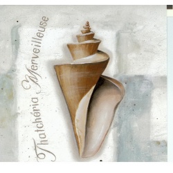 (6 x 6) Art Print LA11052 Lisa Audit - 