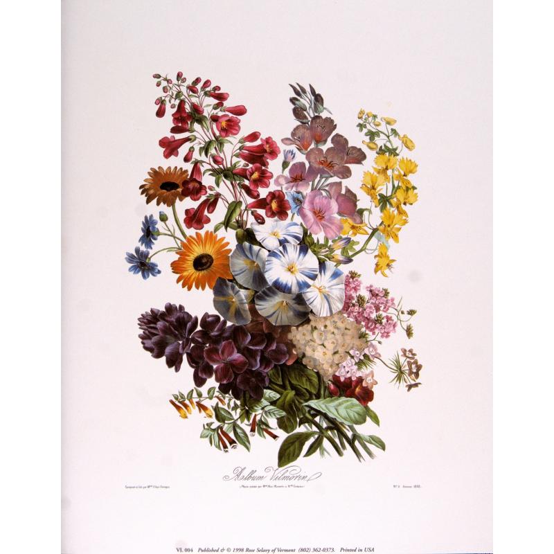 (11 x 14) Art Print VL004 Vilmorin-Andrieux Bouquet IV