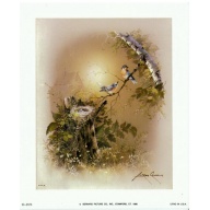 Lot of 13 (5 x 6) Art Print SC2073 Andres Orpinas - Birds on a branch with Nest