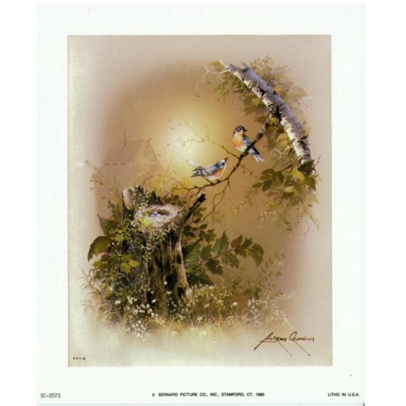 (5 x 6) Art Print SC2073 Andres Orpinas Birds on a branch with Nest