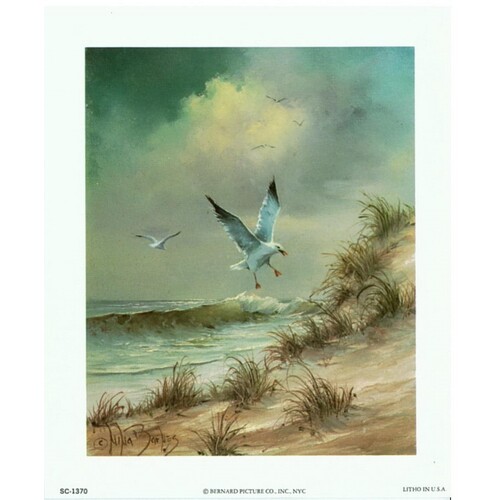 (5 x 6) Art Print SC1370 Nina Barnes Seagulls On the Beach by the Ocean