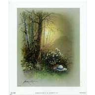 Lot of 13 (5 x 6) Art Print SC1829 Andres Orpinas - House in the Woods