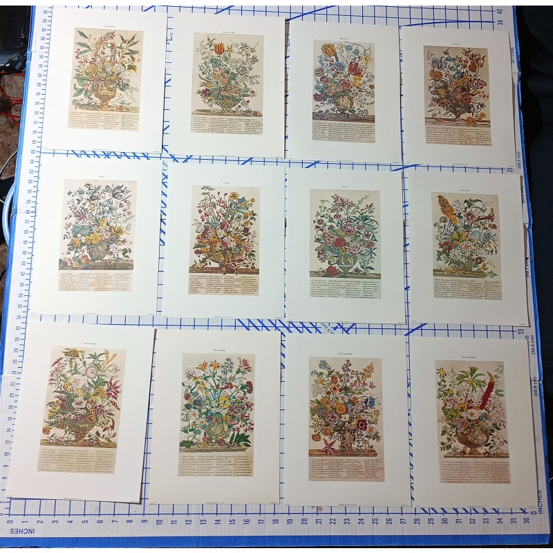 Lot of 12 Art Prints 9 x 12 Flowers of the Month