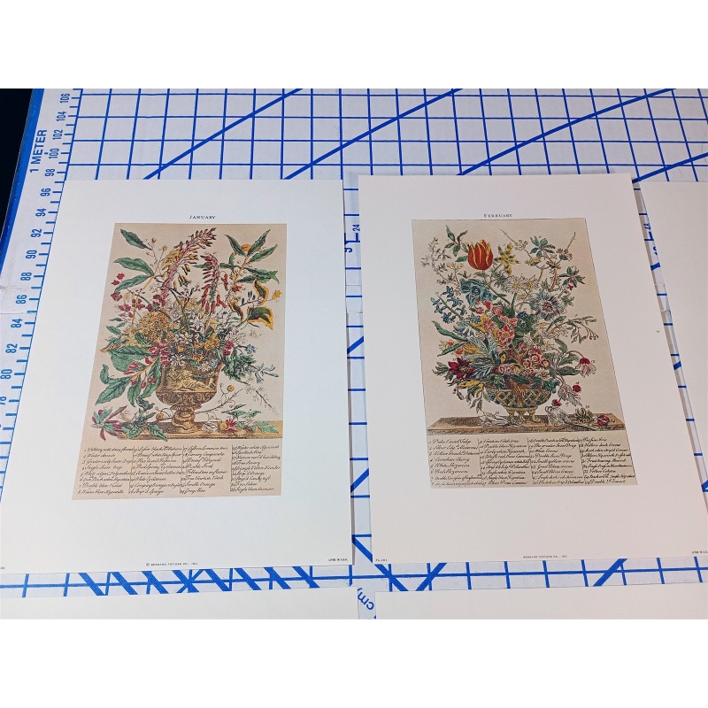 Lot of 12 Art Prints 9 x 12 Flowers of the Month