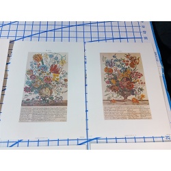 Lot of 12 Art Prints 9 x 12 Flowers of the Month