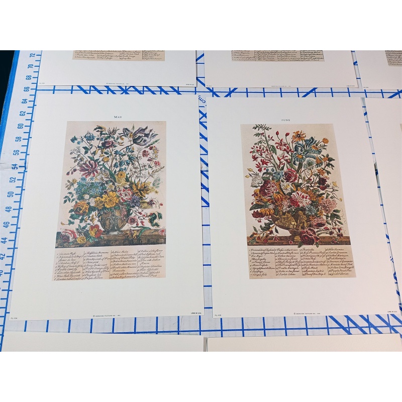 Lot of 12 Art Prints 9 x 12 Flowers of the Month