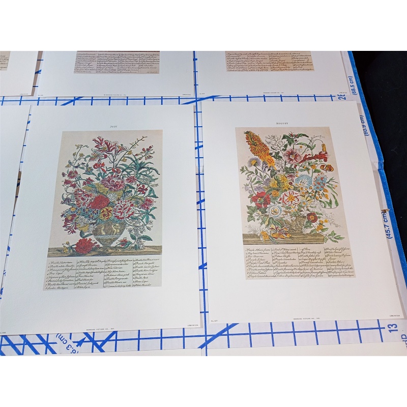 Lot of 12 Art Prints 9 x 12 Flowers of the Month
