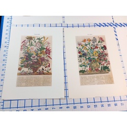 Lot of 12 Art Prints 9 x 12 Flowers of the Month