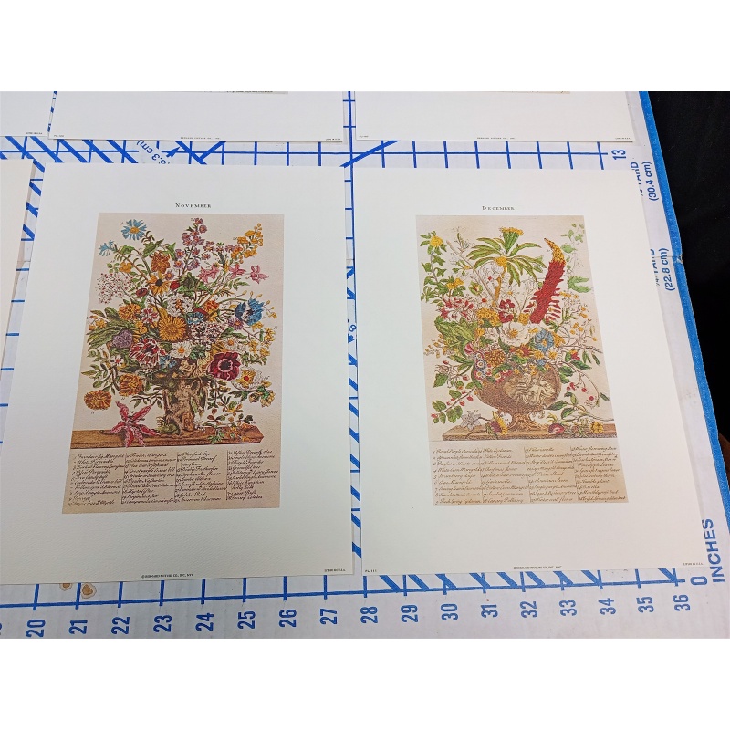 Lot of 12 Art Prints 9 x 12 Flowers of the Month