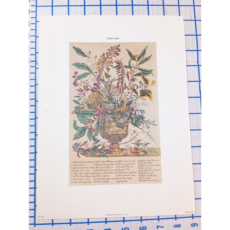 Lot of 12 Art Prints 9 x 12 Flowers of the Month