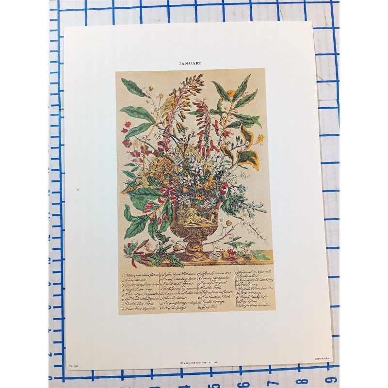 Lot of 12 Art Prints 9 x 12 Flowers of the Month