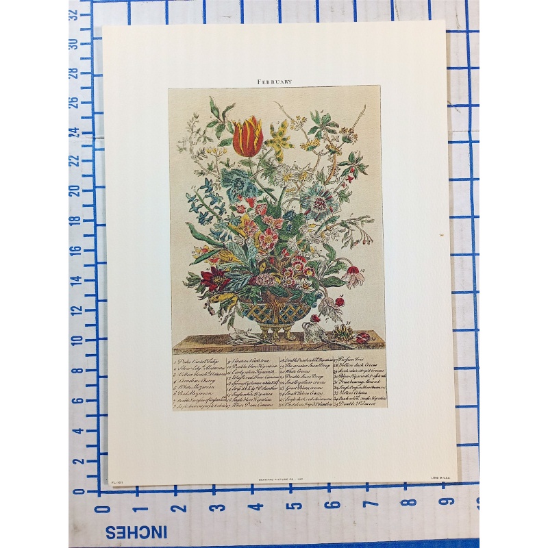 Lot of 12 Art Prints 9 x 12 Flowers of the Month