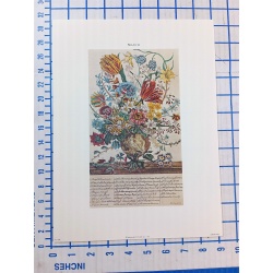 Lot of 12 Art Prints 9 x 12 Flowers of the Month