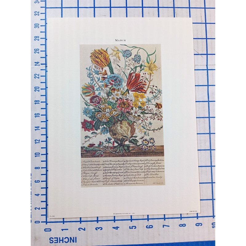 Lot of 12 Art Prints 9 x 12 Flowers of the Month