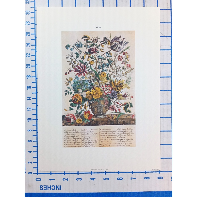 Lot of 12 Art Prints 9 x 12 Flowers of the Month